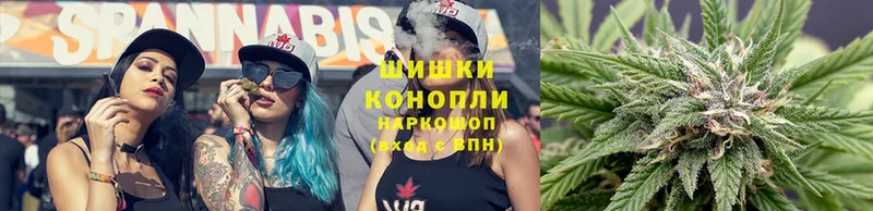 Каннабис White Widow  ссылка на мегу онион  Багратионовск  даркнет сайт 